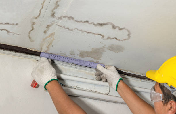 Reliable Structural Drying contractor in Center Sandwich, NH by Water Damage Irwin